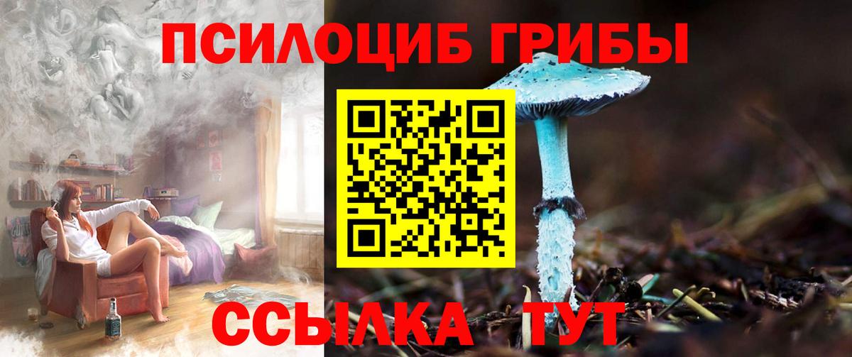 Галлюциногенные грибы прущие грибы  цена наркотик  Солнечногорск  Вход с VPN  Галлюциногенные грибы MAGIC MUSHROOMS 